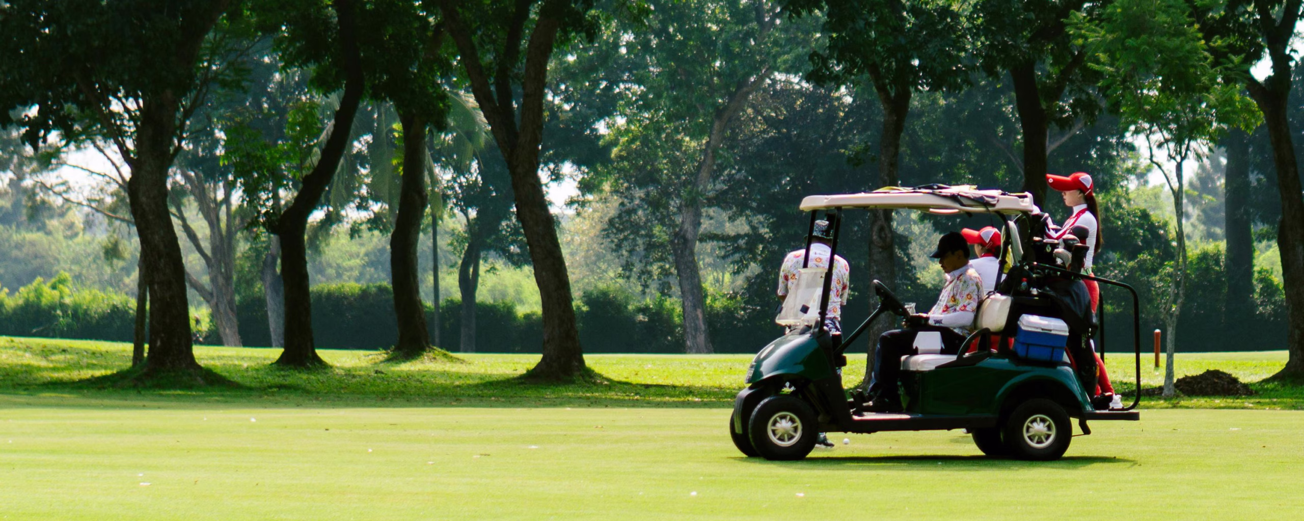 A golf cart on a sunlit course surrounded by trees