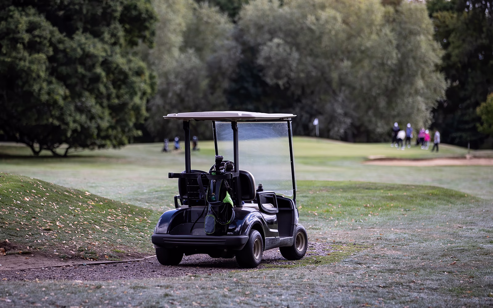 A golf cart with golf bags parked beside the course